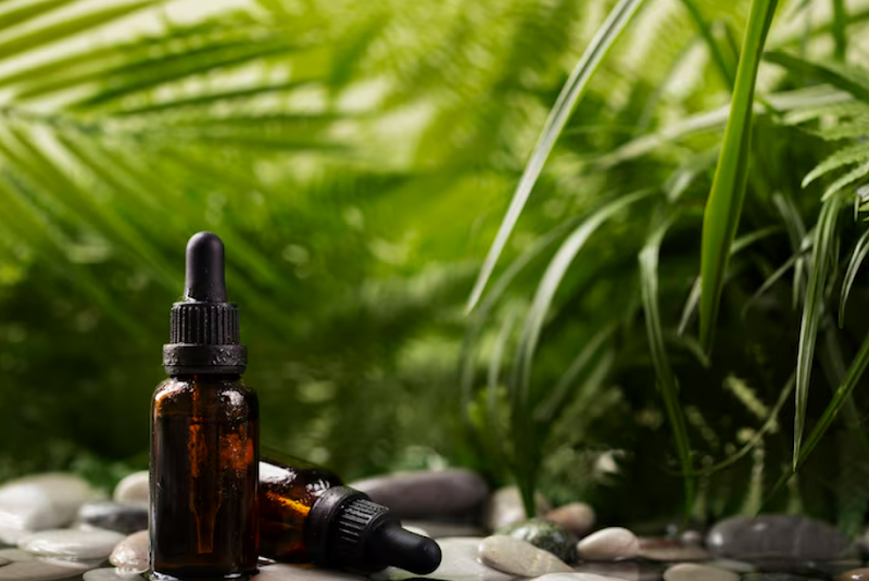 Essential Oil Singapore: Top Herbal Oils for Healthy Hair and Scalp Care
